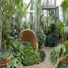 Original: Greenhouse